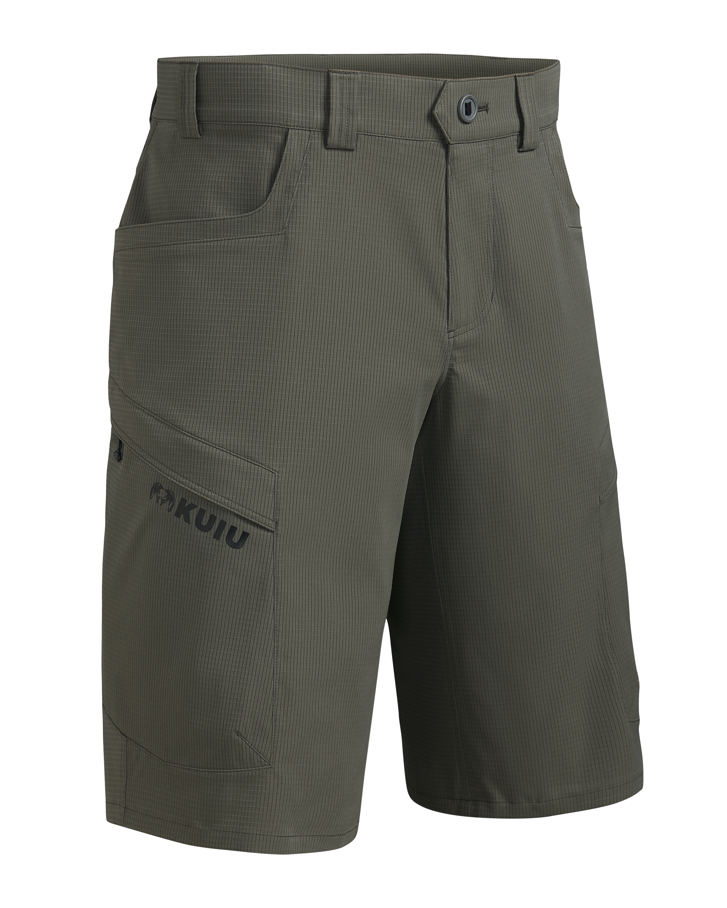 Tiburon 13″ Short | Ash