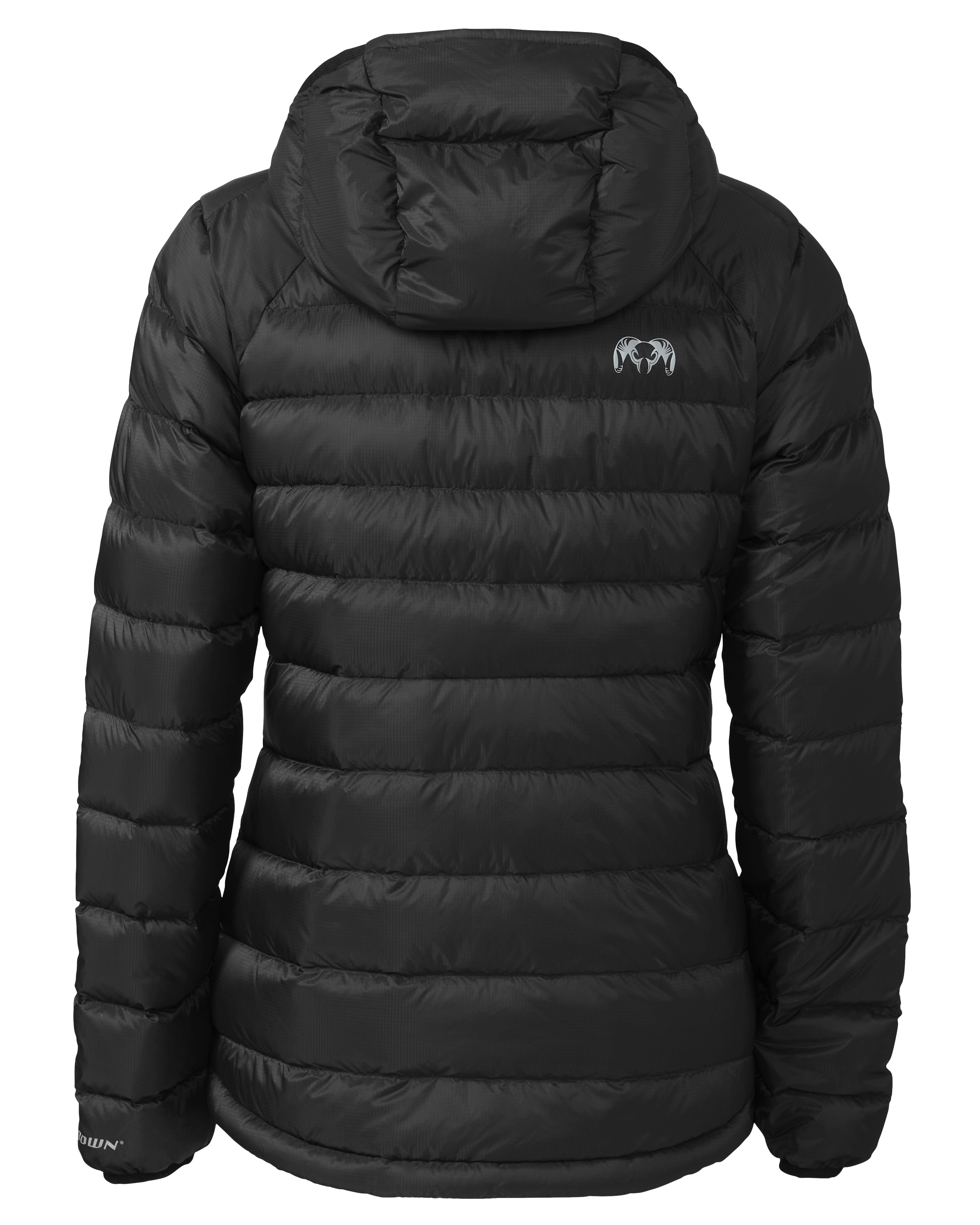 Alternative view of Women's Super Down LT Hooded Jacket | Black